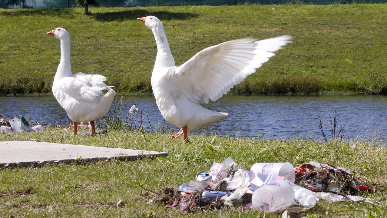 Basura tirada del festival O Son do Camio semanas despus de que termine el festival