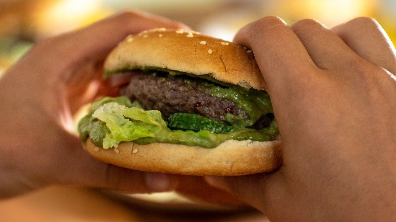 Estado de uno de los cachorros abandonados.Uno de los trenes de prueba en la rada gaditana de la nueva l�nea de Mar�n a Algeciras 