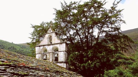 Tejo de Pastur