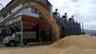 Recoleccin de grano en Odesa, Ucrania, en una imagen de archivo de junio del 2022