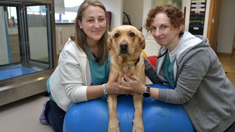 Luca y Mnica, junto a Maruxa, una perra que acude al centro de rehabilitacin