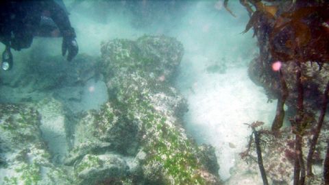 Restos de un buque hundido en la ría de Cee e Corcubión