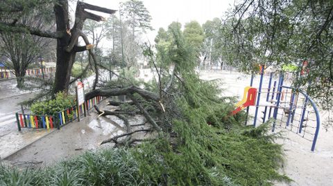 En Vigo, el viento ha derribado las ramas de un rbol sobre el parque infantil de O Castro