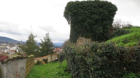 Torre de la muralla tapada por la vegetación en las cercanías de la Porta Nova