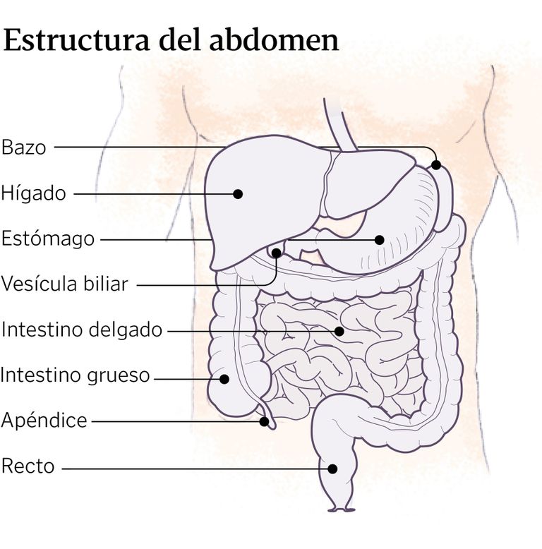Dolor de abdomen, ¿qué significa?: «A veces el dolor aparece en un sitio y  se mueve a otro»