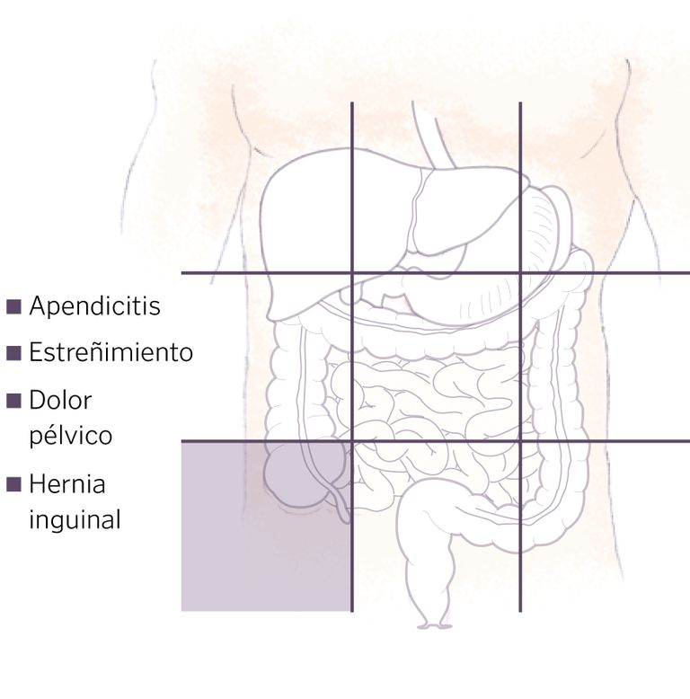 Dolor pélvico y abdominal: qué es, causas y cómo tratarlo