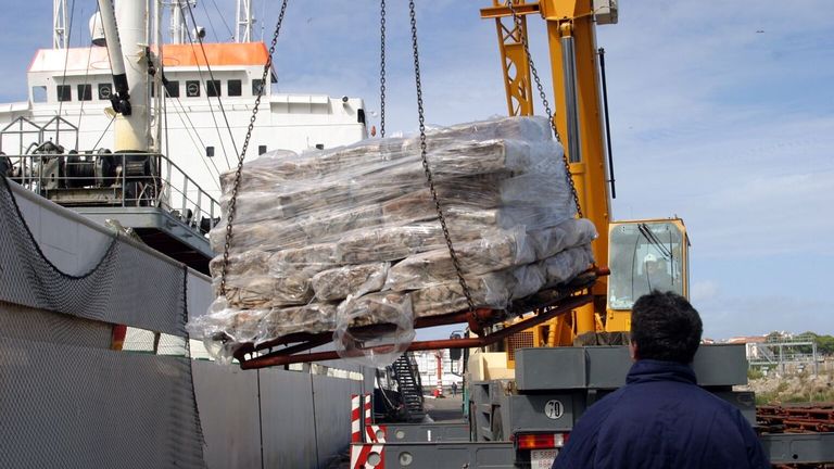 Los científicos de Argentina avalan la ampliación de 18 licencias a la pesca de calamar