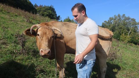 Carlos Mosquera, ganadero de Pontedeume, con la vaca que dio positivo y se est reponiendo de la enfermedad