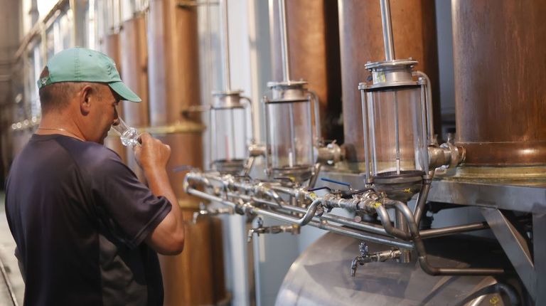 Caíño, sousón y brancellao, las uvas tintas que dan mejores aguardientes