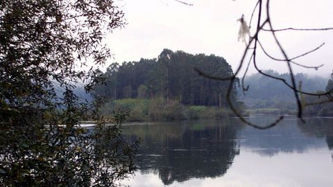 La isla de Fillaboa, en el río Miño, pertenece al Concello de Salvaterra