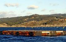 El buque insignia del grupo, Promalar, adquiri 2,87 millones de metros en Aldn para 5.000 casas.