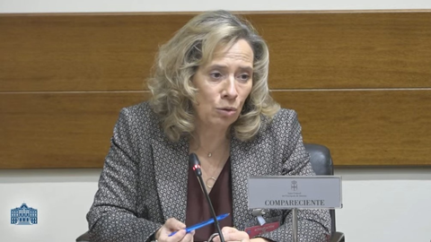 La exconsejera de Industria, Belarmina D�az.