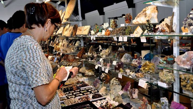 Un salón para conocer fósiles y minerales