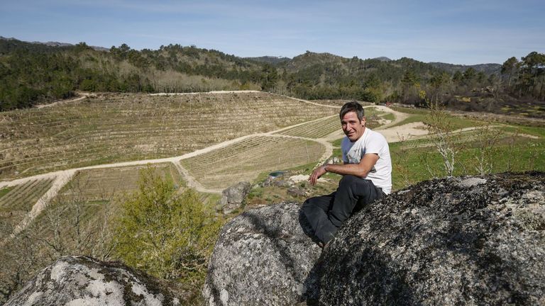 Deja su farmacia en Vigo y apuesta por recuperar monte abandonado para producir tinto en O Ribeiro