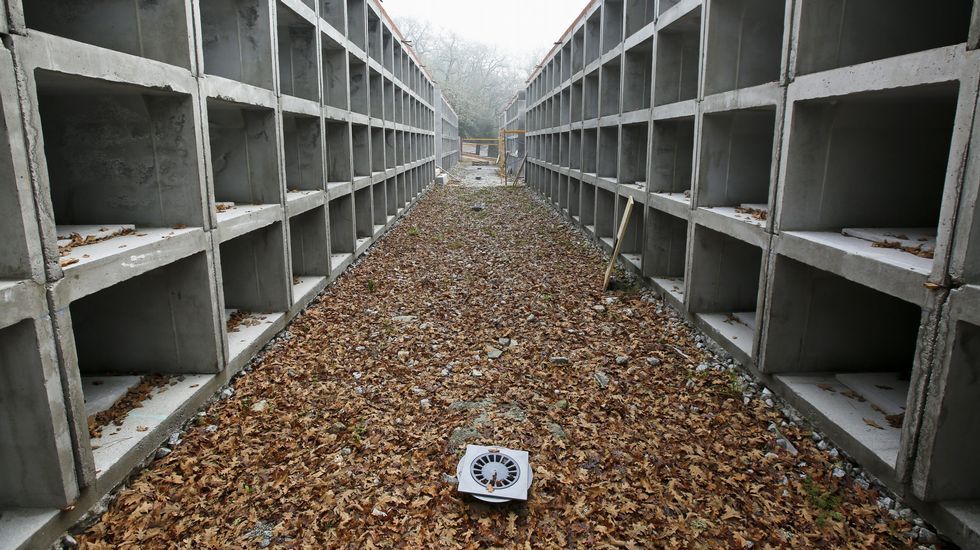 El �lbum del d�a.El fr�o nocturno convierte las ventanas de cristal en obras de arte al amanecer