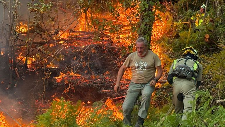 Extinguido un incendio a pocos metros de las casas en Nigrán