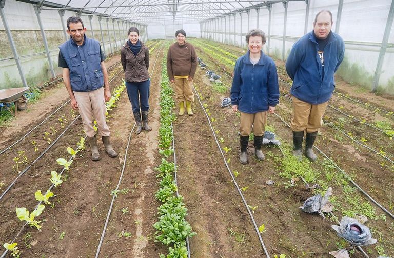 Las personas con discapacidad de Amipa y la responsable del taller, en el invernadero de Sorribas.