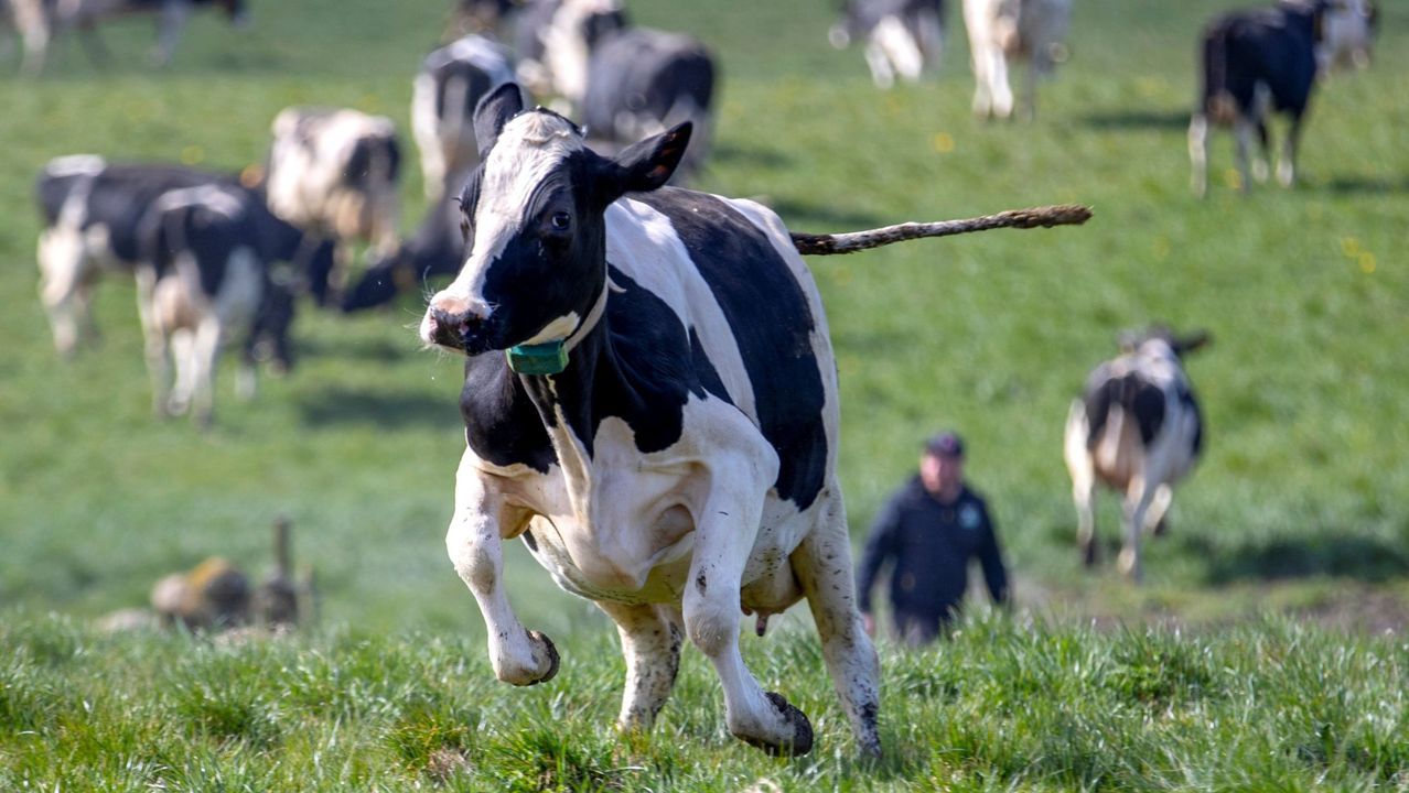 �Si uno tiene 30 Grand Slam, pero ning�n amigo, va a tener un futuro infeliz�.Salvador Illa, ministro de Sanidad