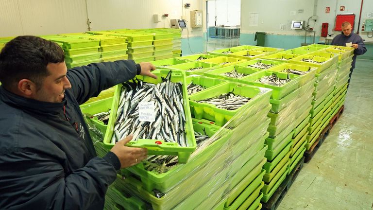 Se acabó el bocarte desde el Miño a Fisterra