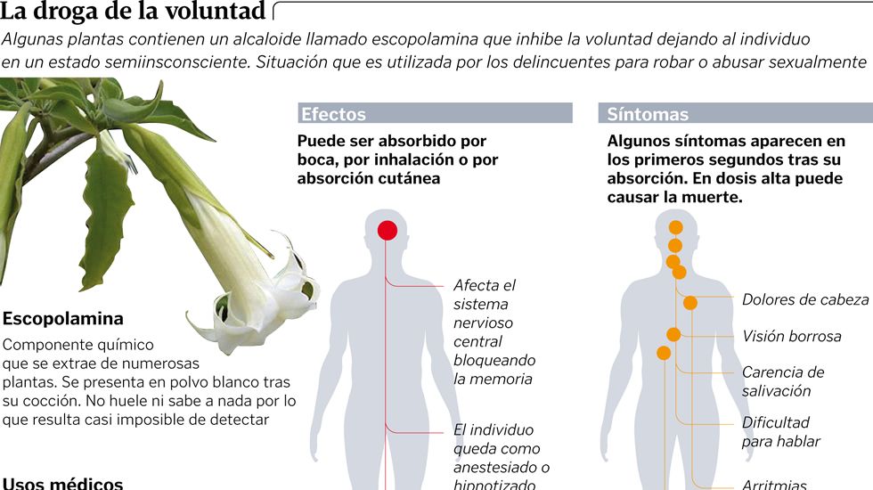 As acta la burundanga, la droga de la voluntad