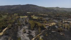 Imagen del terreno arrasado por uno de los incendios de julio en el municipio