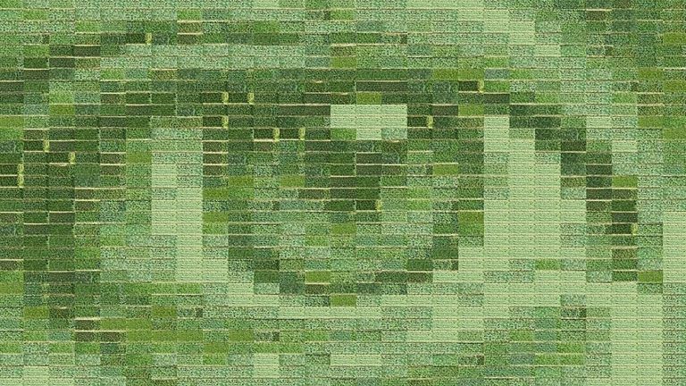 Una joven artista española hace la fotografía más grande del mundo