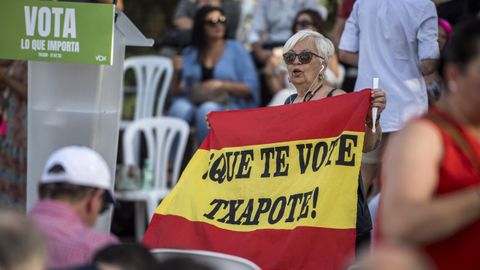Una mujer sostiene una bandera de Espaa con el lema Que te vote Txapote en un mitin de Vox en Toledo