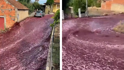 Im�genes de la inundaci�n de vino en la localidad de Anadia