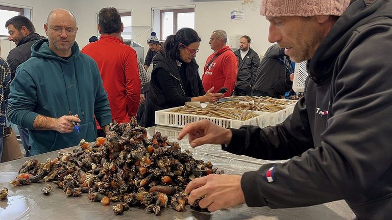 Percebe das Cíes y Navallas das Cíes proporcionan casi la mitad de su facturación a la cofradía de Cangas