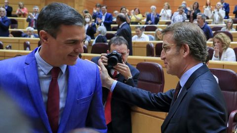 Sánchez y Feijoo se saludan en el Senado