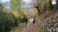 Dos personas pasean por un bosque, una de las mejores opciones para la salud mental<br />�<br />�<br />