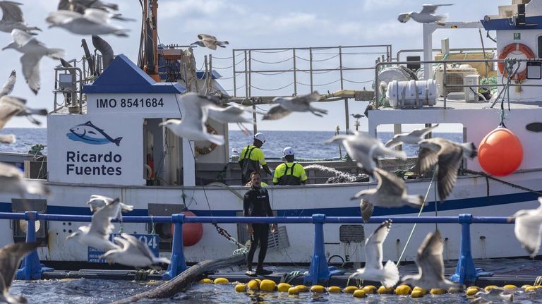 <span lang="gl">Fantasía mariñeira: </span><span lang="gl">«Se estivésemos alí...»</span>