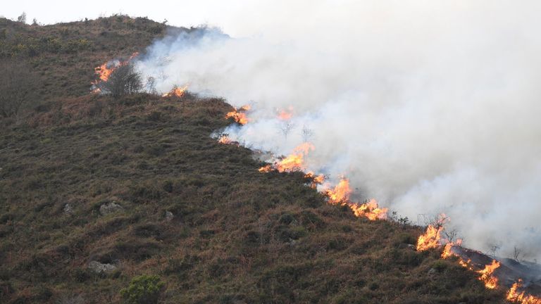 Incendio forestal
