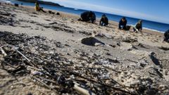 Barbanza se echa a las playas para limpiar el vertido de pellets de plástico.Los pellets también han llegado a Queiruga.