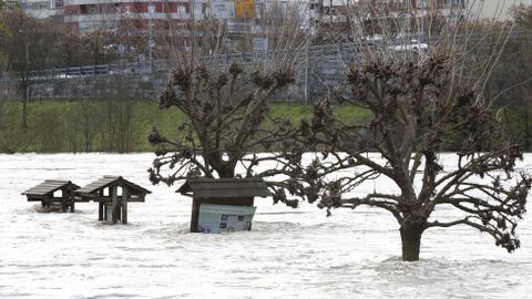 Inundaciones en la provincia de Ourense.En Ourense la crecida del Miño inundó A Chavasqueira