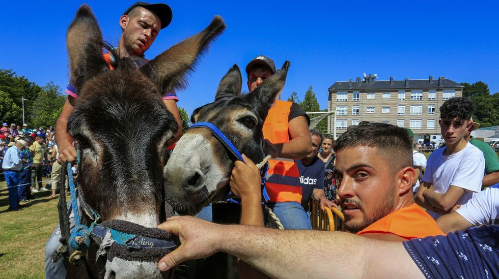 Todas las fotos de la carrera de burros de Escairn 2022.Los bares de la explanada de la Compaa estarn bajo estas prgolas con forma de jaima