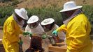 Unos apicultores con un panal