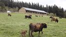 As son los apartamentos Olladas de Barbeitos en A Fonsagrada