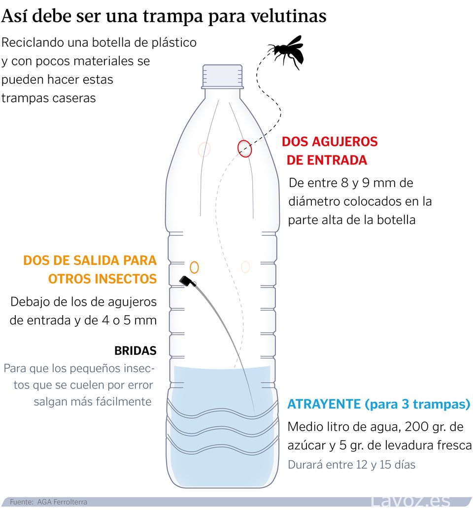 Gráfico en el que se explica cómo puede hacerse una trampa para velutinas partiendo de una botella de plástico reciclada que se rellena con una solución atrayente a base de levadura y a la que se le hacen dos agujeros para que entren las avispas
