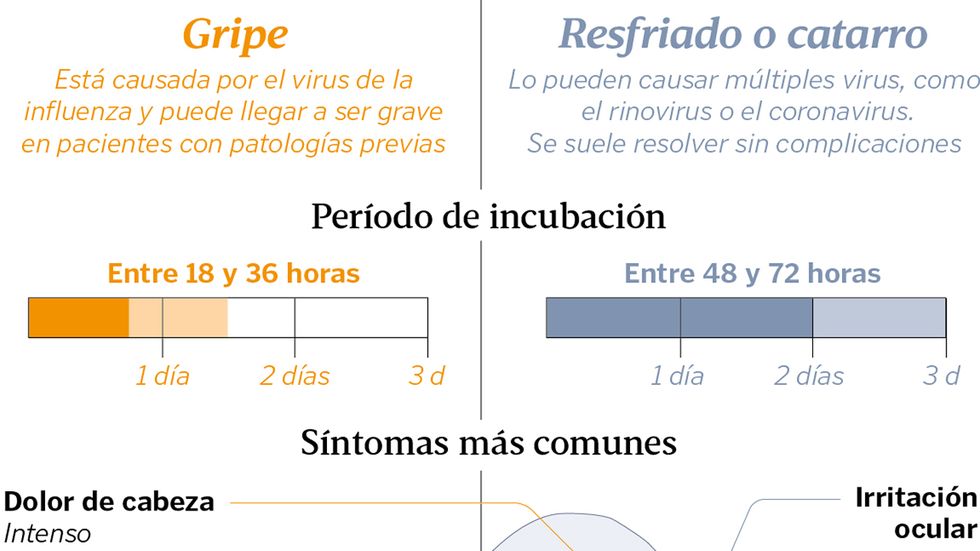 Fiebre viral y dolor ocular