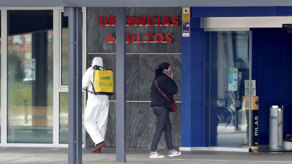 A test ürege a körféregben. A kerekes féreg belső felépítése. - Emberi körféreg életciklus jele