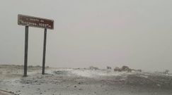Prmera nevada en puerto de Ancares