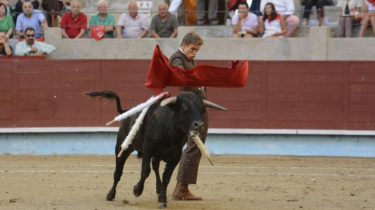 Cuestionan la organización de una becerrada en Pontevedra con acceso de menores
