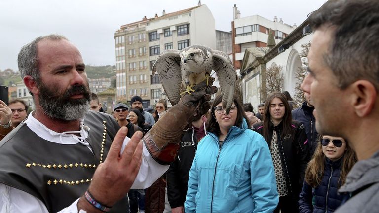 La gripe aviar obliga a Baiona a renunciar a la cetrería en la Arribada