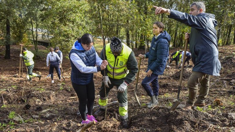 Plantan cien castaños en A Tomba para compensar las emisiones del Multisport 2025