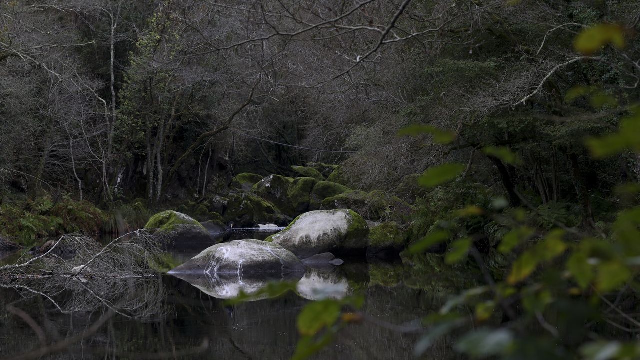 Por favor, siga el Mandeo