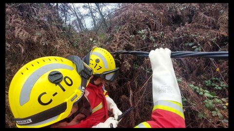 Bomberos de O Carballiño intervienen en la caída de un árbol que arrastró cableado