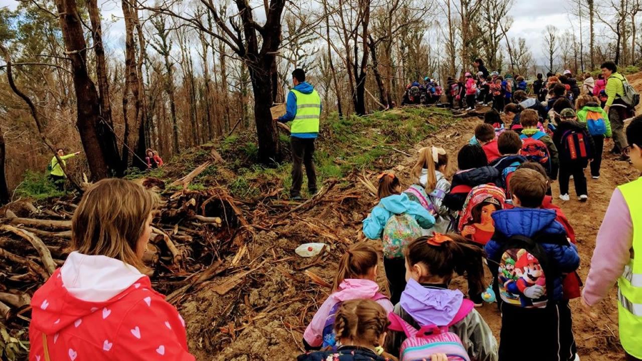 As son los bivalvos gigantes hallados en Viveiro.Castillete del pozo Maria Luisa