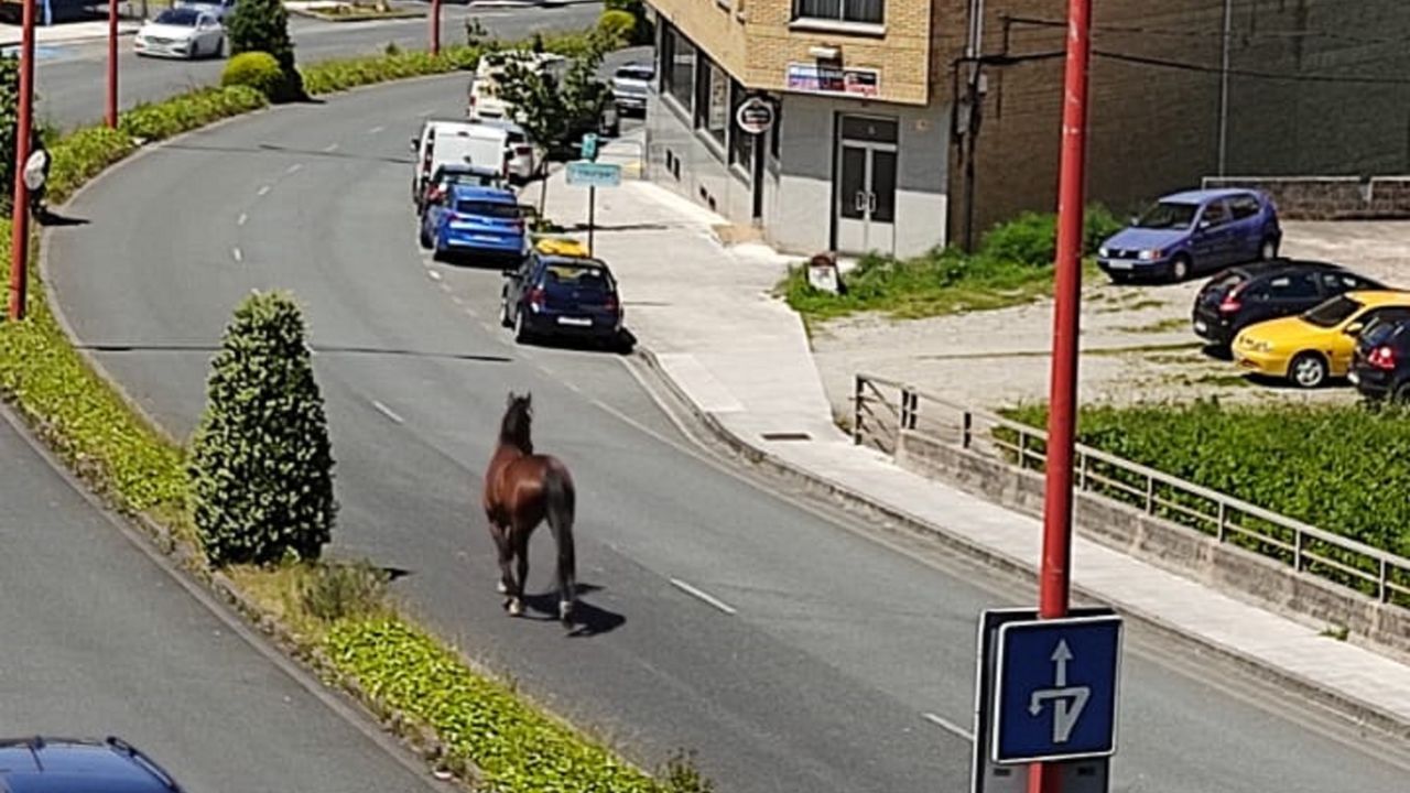 Las imgenes del acto de despedida del buque logstico australiano.Presentacin en Fitur