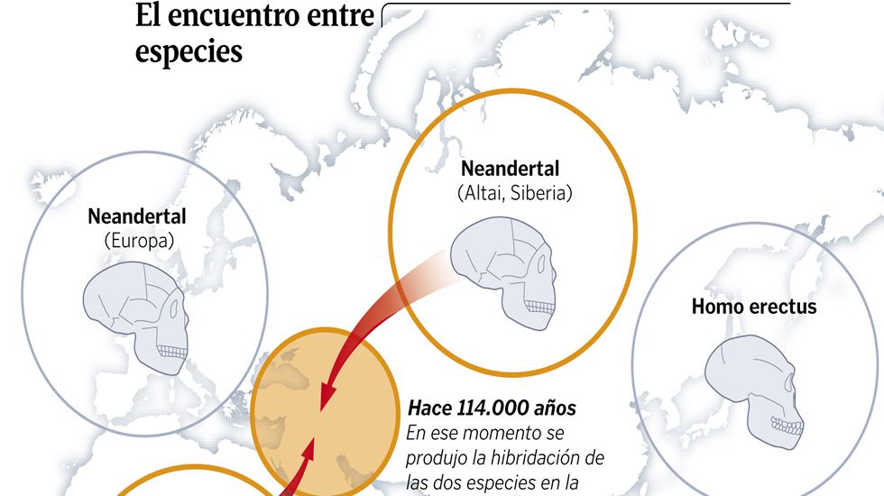 El encuentro entre especies